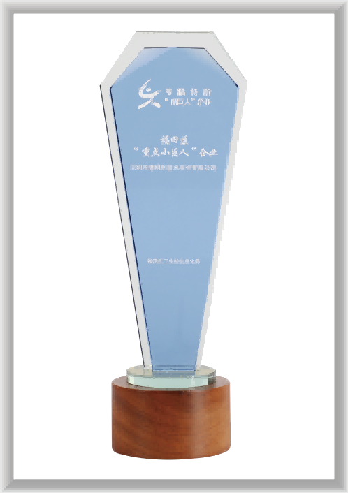 江苏苏州市“重点小巨人”企业