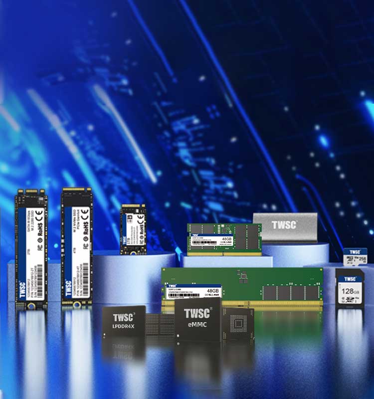 专业存储产品及解决方案提供商